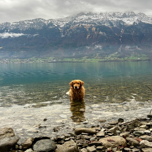 Photo de Jaik