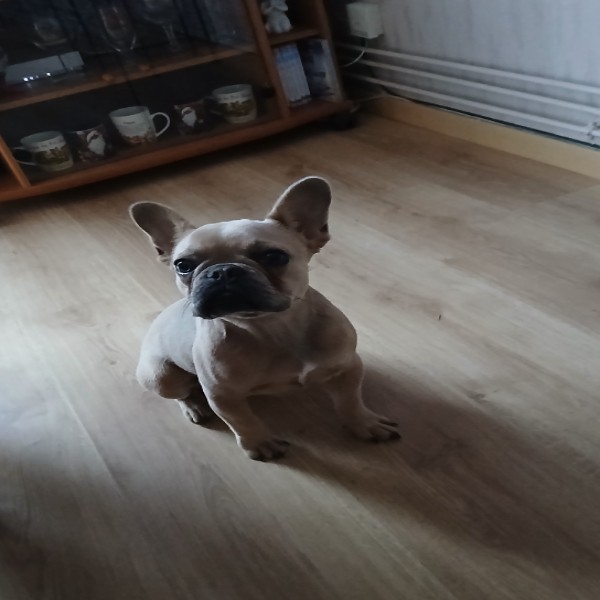 Photo de Lena