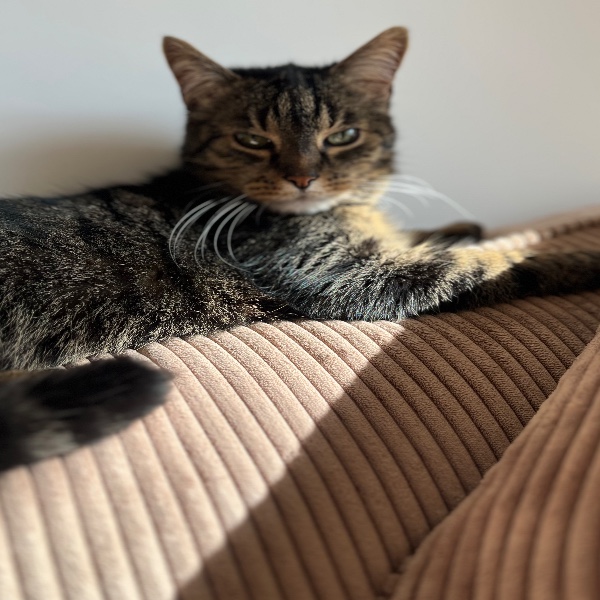 Photo de Mimi