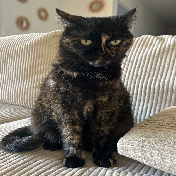 Nala