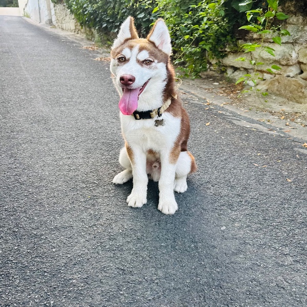 Azur