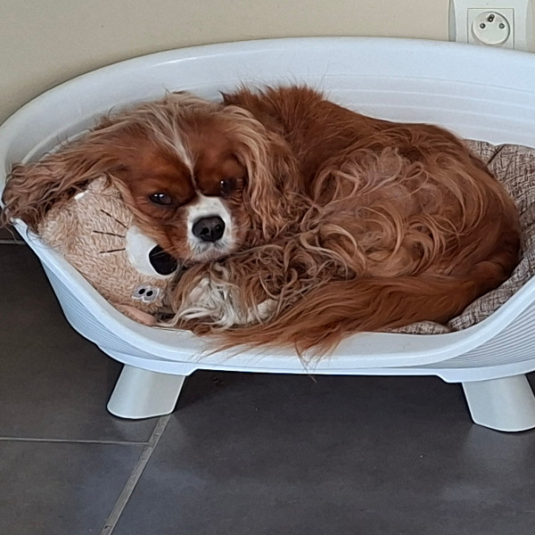 Photo de Ruby