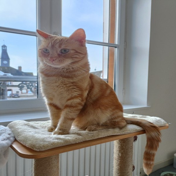 Photo de Caramel