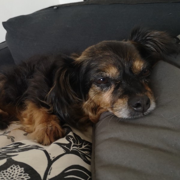 Photo de Molly