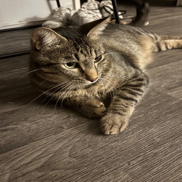 Photo de Smoky