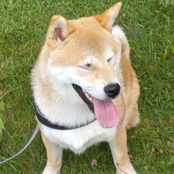 Photo de Yuki