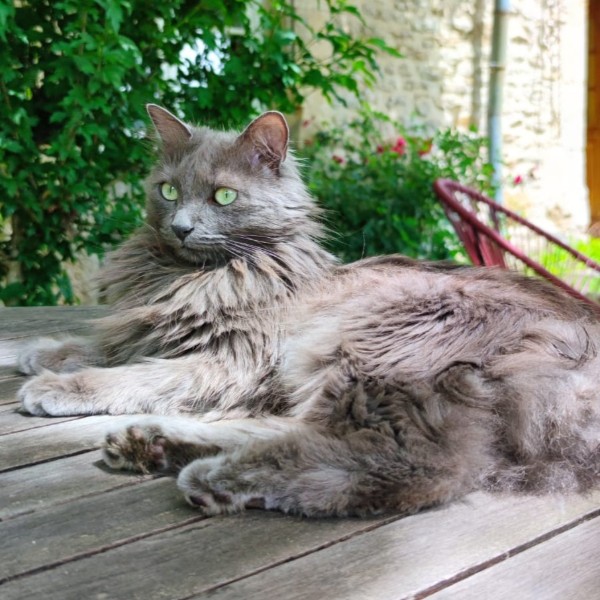 Photo de Eyjah Glora Lys Evijah