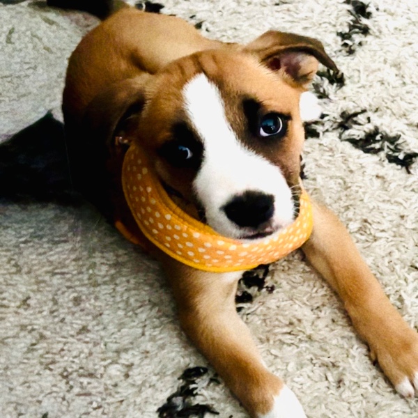 Photo de Lola