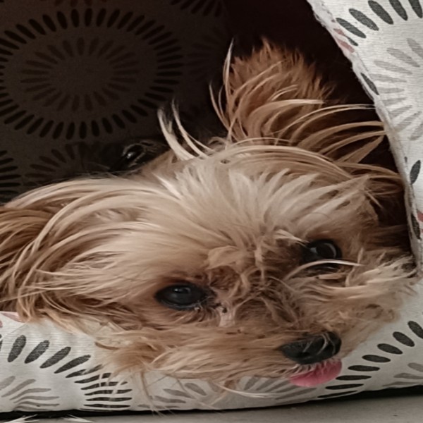 Photo de Leeloo