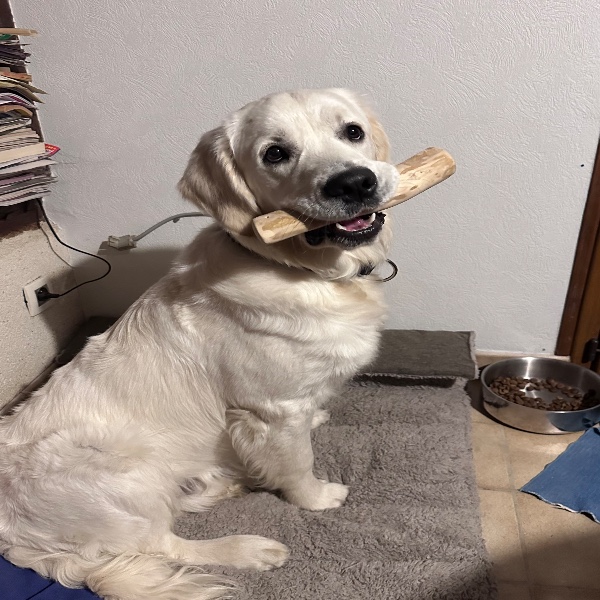 Vito