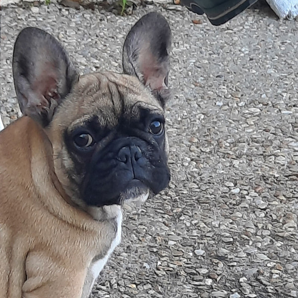 Photo de Aglaë