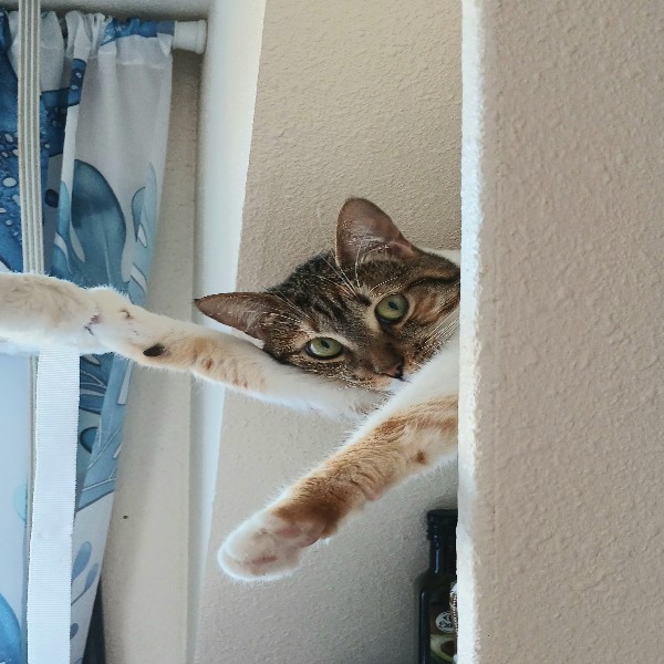 Minnie