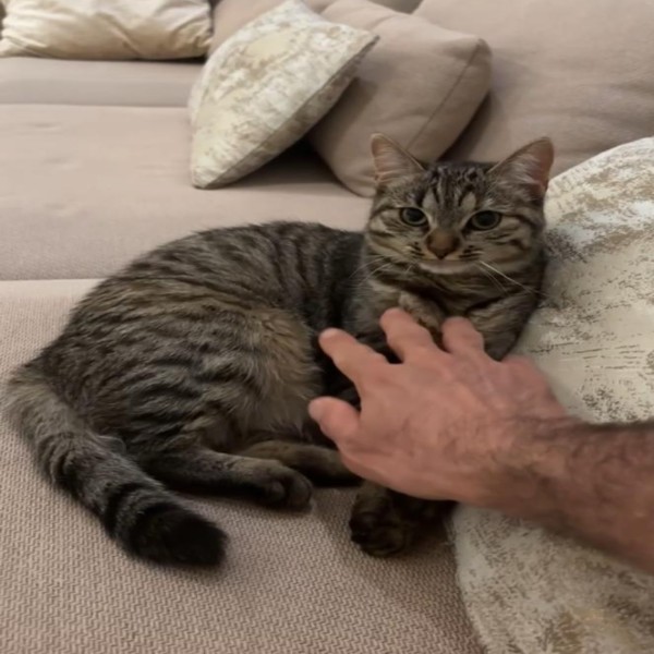 Photo de Stella