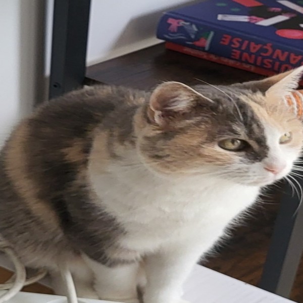 Nina