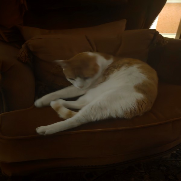 Photo de Berlioz