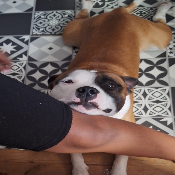 Soto