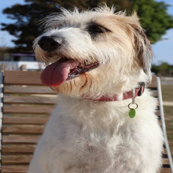 Roxy