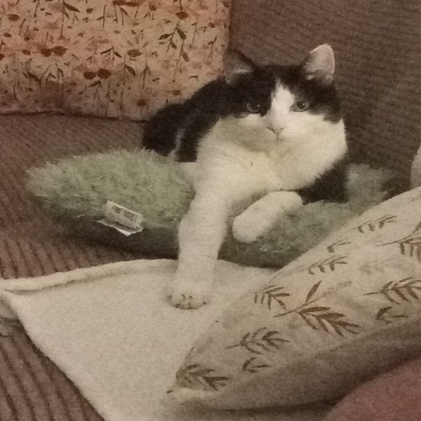 Missi