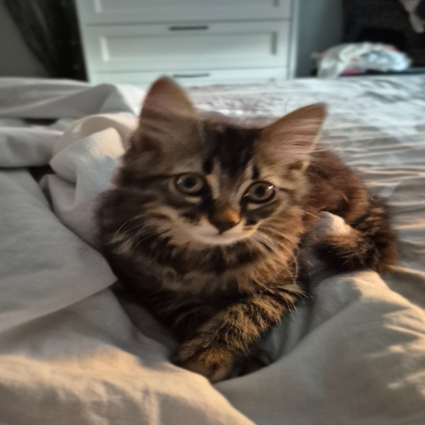 Photo de NOOPY