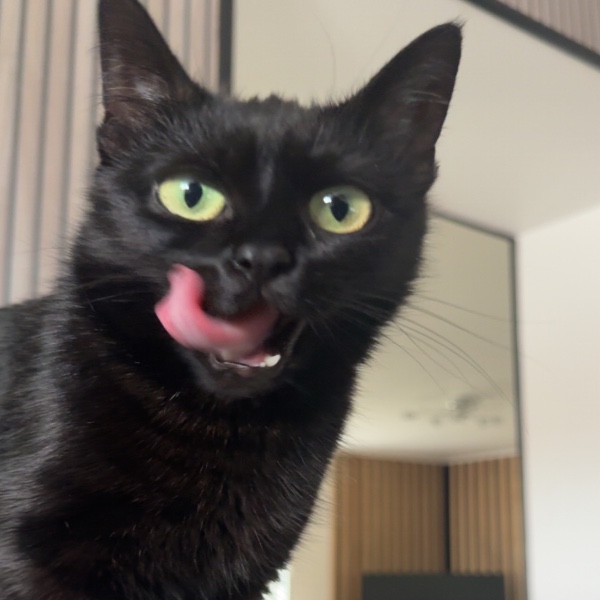 Mia