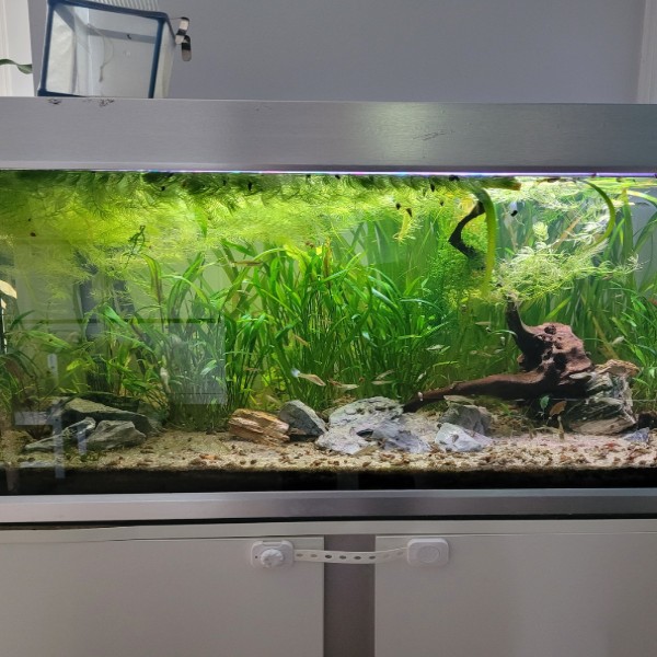 Aquarium