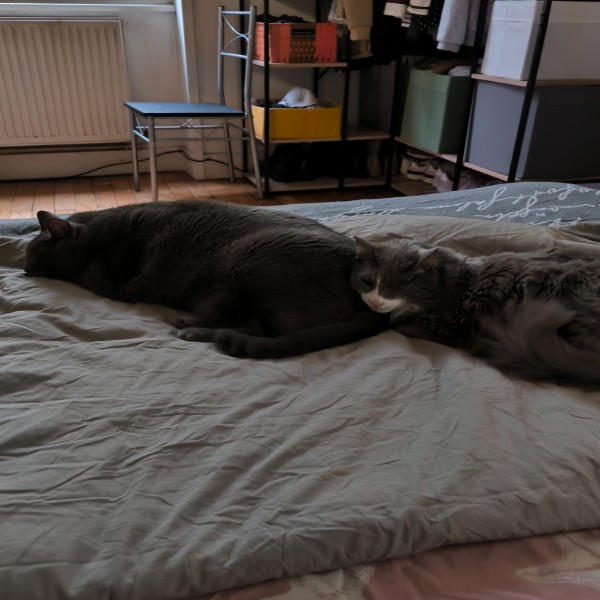 Poutchi et poutchette