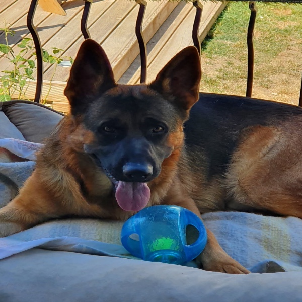 Ragnar