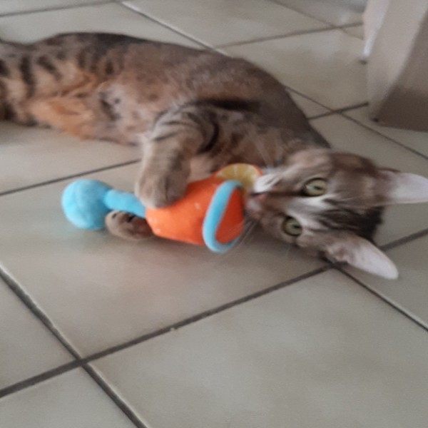 Lily