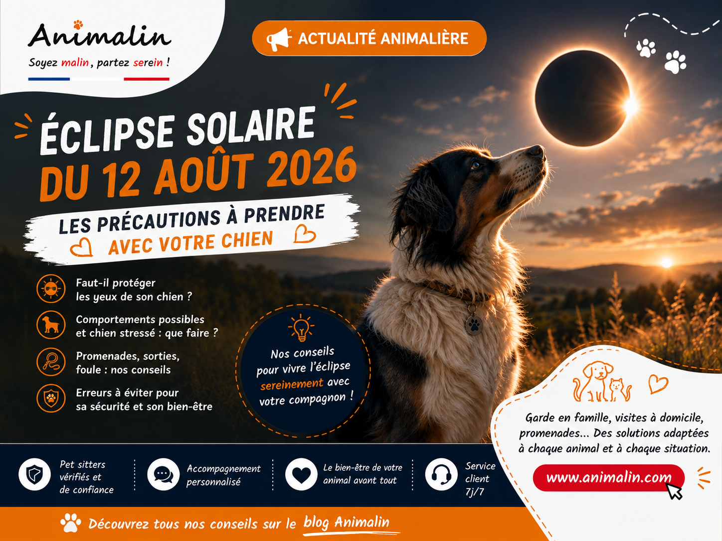 🌑🐶 Éclipse solaire du 12 août 2026 : les précautions à prendre avec son chien