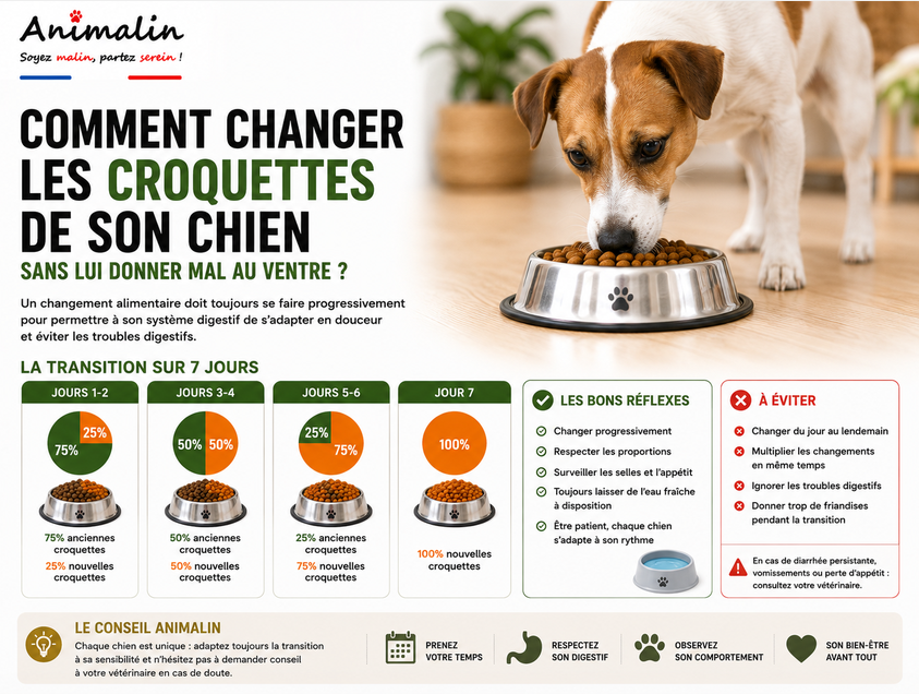 🔄 Comment changer les croquettes de son chien sans lui donner mal au ventre ?