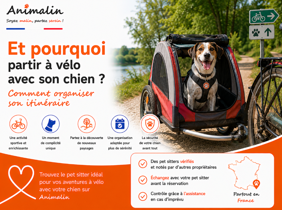 🚲 Et pourquoi partir à vélo avec son chien ? Comment organiser son itinéraire