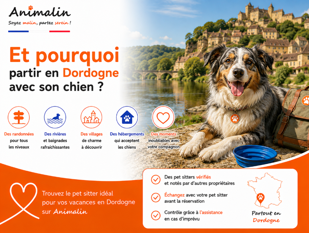 🌿 Et pourquoi partir en vacances en Dordogne avec son chien ? Randonnées, rivières et villages