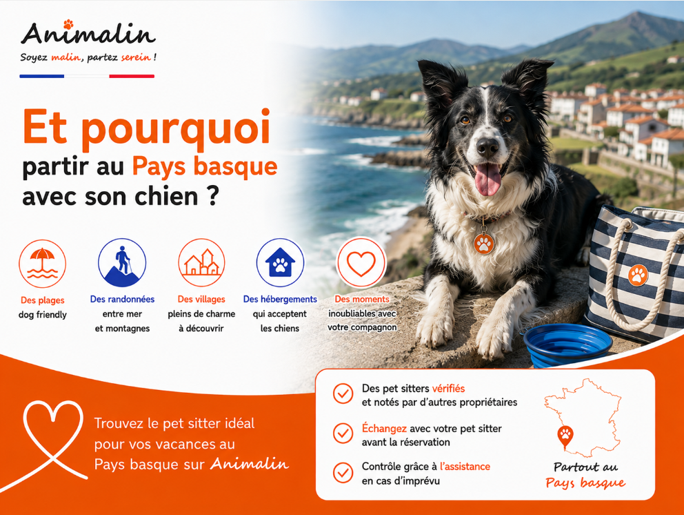 🌊 Et pourquoi partir en vacances au Pays basque avec son chien ? Que faire et où aller ?