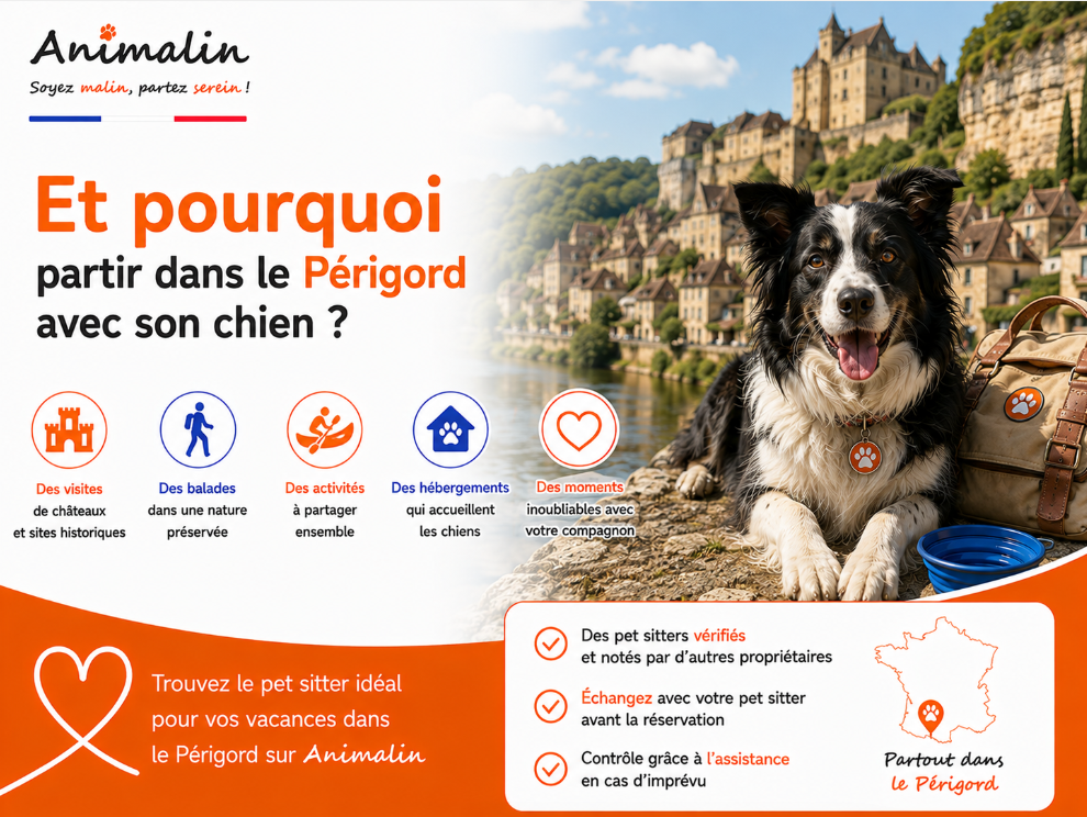 🏰 Et pourquoi partir en vacances dans le Périgord avec son chien ? Visites, balades et activités