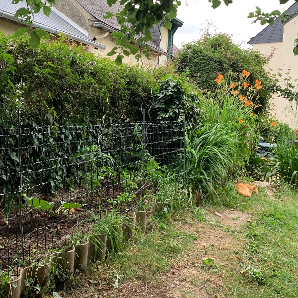 Photo du logement