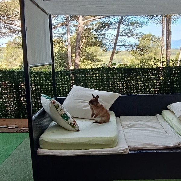 Photo du logement