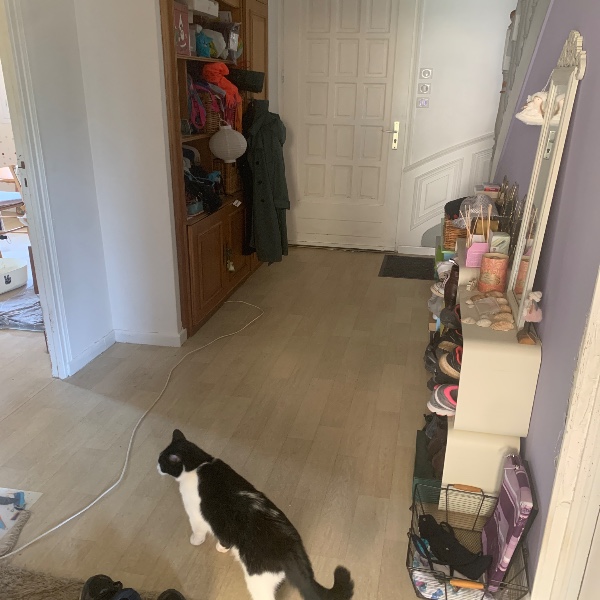 Photo du logement