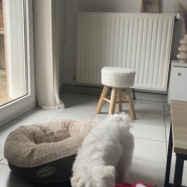 Photo du logement