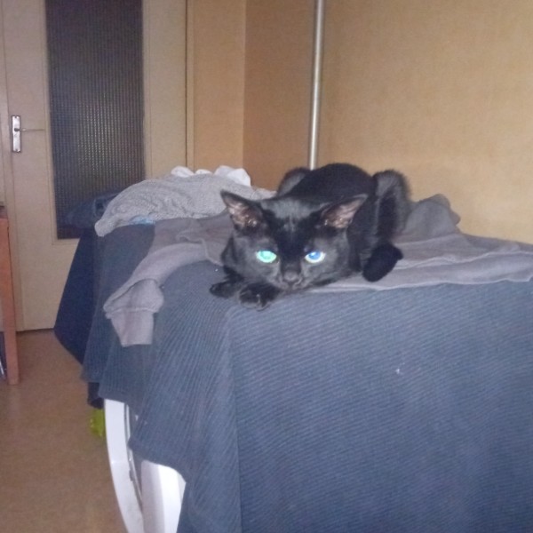Photo du logement