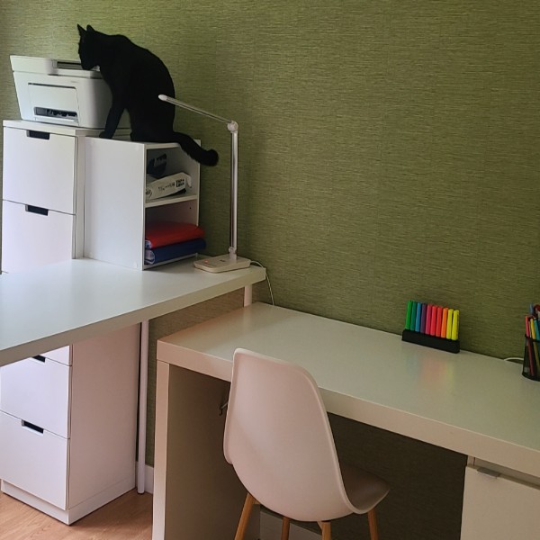Photo du logement