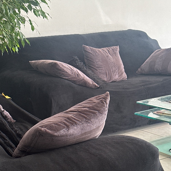 Photo du logement