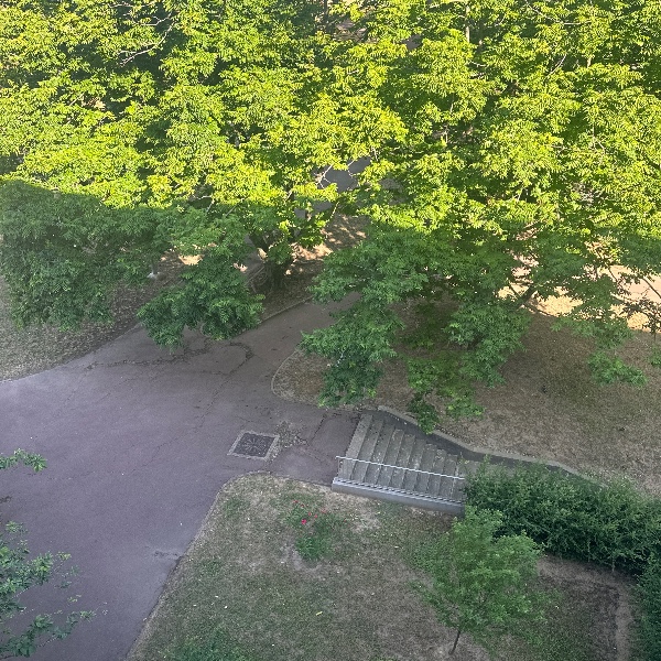 Photo du logement