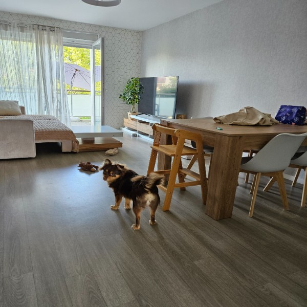 Photo du logement