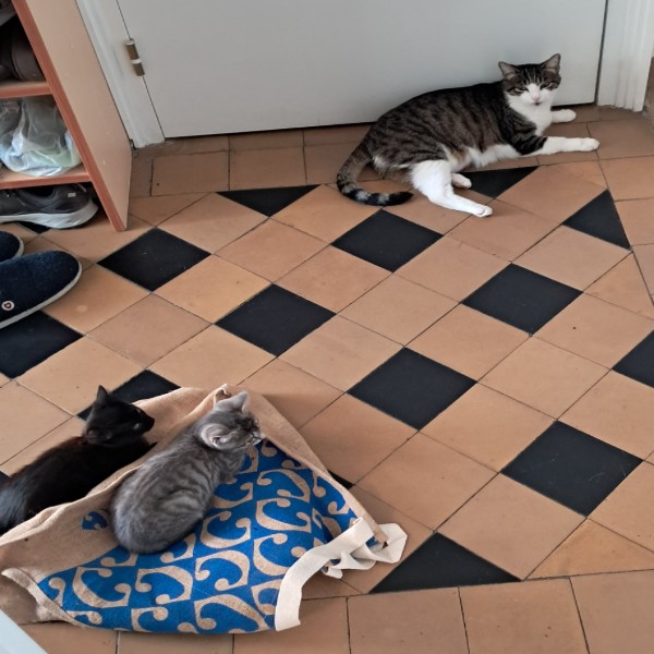 Photo du logement