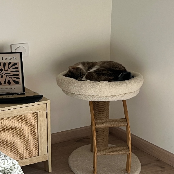Photo du logement