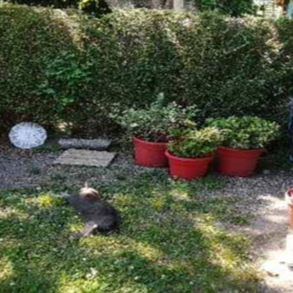 Photo du logement