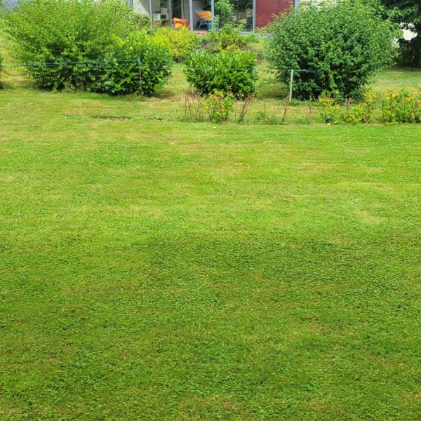 Photo du logement