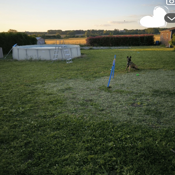 Photo du logement