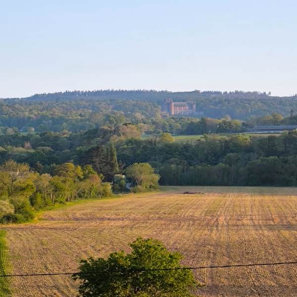Photo du logement