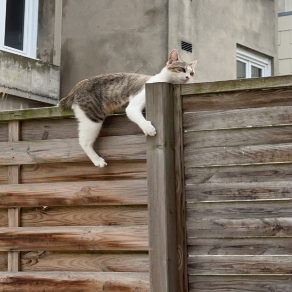 Photo du logement